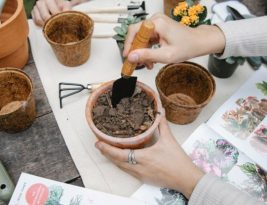 What Soil Mix Is Best for Container Gardening?