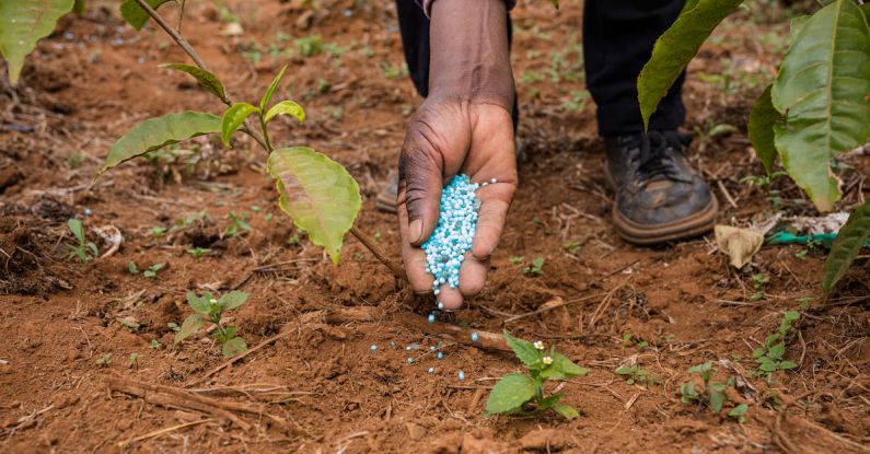 Fertilizer - Hand of Man Putting Fertilizer Pellets on Ground